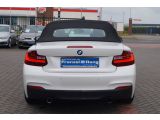 BMW M235 bei Sportwagen.expert - Abbildung (4 / 15)