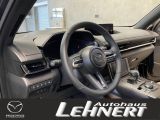 Mazda MX-30 bei Sportwagen.expert - Abbildung (3 / 6)