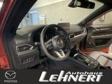 Mazda CX 5 bei Sportwagen.expert - Abbildung (3 / 7)