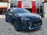 Lexus UX bei Sportwagen.expert - Abbildung (5 / 15)