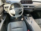 Lexus UX bei Sportwagen.expert - Abbildung (10 / 15)