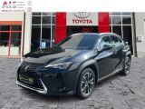 Lexus UX bei Sportwagen.expert - Abbildung (2 / 15)