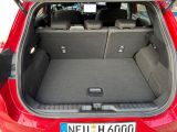 Ford Puma bei Sportwagen.expert - Abbildung (6 / 15)
