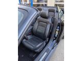 Ford Mustang bei Sportwagen.expert - Abbildung (3 / 11)