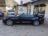Ford Mustang bei Sportwagen.expert - Abbildung (2 / 11)