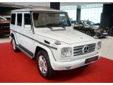 Mercedes-Benz G-Klasse bei Sportwagen.expert - Abbildung (14 / 15)