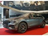 Audi Q8 bei Sportwagen.expert - Abbildung (3 / 15)