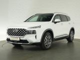 Hyundai Santa Fe bei Sportwagen.expert - Abbildung (2 / 15)