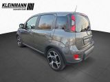 Fiat Panda bei Sportwagen.expert - Abbildung (6 / 13)
