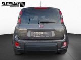 Fiat Panda bei Sportwagen.expert - Abbildung (8 / 13)