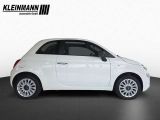 Fiat 500 C bei Sportwagen.expert - Abbildung (3 / 12)