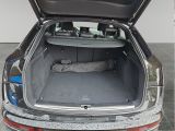 Audi SQ5 bei Sportwagen.expert - Abbildung (11 / 13)