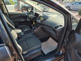 Ford C-MAX bei Sportwagen.expert - Abbildung (8 / 15) Ford C-MAX bei Sportwagen.expert - Abbildung (8 / 15)