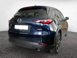Mazda CX 5 bei Sportwagen.expert - Abbildung (3 / 15)