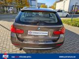 BMW 3er bei Sportwagen.expert - Abbildung (7 / 15)
