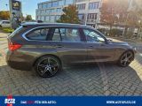 BMW 3er bei Sportwagen.expert - Abbildung (10 / 15)