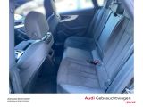 Audi S5 Sportback bei Sportwagen.expert - Abbildung (11 / 12)