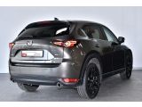 Mazda CX 5 bei Sportwagen.expert - Abbildung (9 / 15)