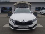 Skoda Octavia bei Sportwagen.expert - Abbildung (2 / 15)
