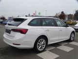 Skoda Octavia bei Sportwagen.expert - Abbildung (5 / 15)