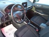 Ford EcoSport bei Sportwagen.expert - Abbildung (15 / 15)