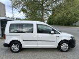 VW Caddy bei Sportwagen.expert - Abbildung (4 / 10)