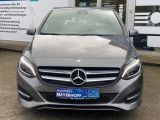 Mercedes-Benz B-Klasse bei Sportwagen.expert - Abbildung (5 / 15)