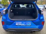 Ford Puma bei Sportwagen.expert - Abbildung (14 / 15)