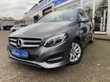 Mercedes-Benz B-Klasse bei Sportwagen.expert - Abbildung (9 / 15)