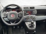 Fiat Panda bei Sportwagen.expert - Abbildung (11 / 15)