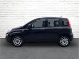 Fiat Panda bei Sportwagen.expert - Abbildung (9 / 15)