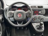Fiat Panda bei Sportwagen.expert - Abbildung (10 / 15)