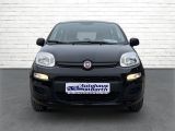 Fiat Panda bei Sportwagen.expert - Abbildung (3 / 15)