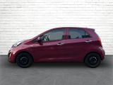 Kia Picanto bei Sportwagen.expert - Abbildung (12 / 15)
