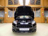 Ford Fiesta bei Sportwagen.expert - Abbildung (15 / 15)