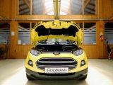 Ford EcoSport bei Sportwagen.expert - Abbildung (15 / 15)