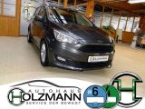 Ford C-MAX bei Sportwagen.expert - Abbildung (2 / 15)