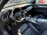 Alfa Romeo Stelvio bei Sportwagen.expert - Abbildung (11 / 15)