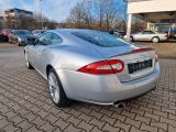 Jaguar XK bei Sportwagen.expert - Abbildung (3 / 15)