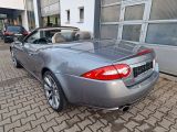 Jaguar XK bei Sportwagen.expert - Abbildung (4 / 15)