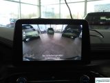 Ford Kuga bei Sportwagen.expert - Abbildung (12 / 15)