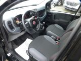 Fiat Panda bei Sportwagen.expert - Abbildung (9 / 15) Fiat Panda bei Sportwagen.expert - Abbildung (9 / 15)