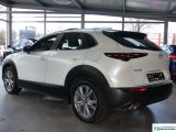 Mazda CX-30 bei Sportwagen.expert - Abbildung (4 / 15)