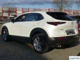 Mazda CX-30 bei Sportwagen.expert - Abbildung (2 / 15)