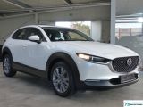 Mazda CX-30 bei Sportwagen.expert - Abbildung (5 / 15)