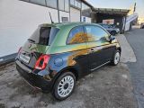 Fiat 500 bei Sportwagen.expert - Abbildung (4 / 12)