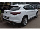 Alfa Romeo Stelvio bei Sportwagen.expert - Abbildung (3 / 13)