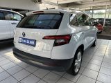 Skoda Karoq bei Sportwagen.expert - Abbildung (5 / 15)