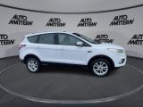 Ford Kuga bei Sportwagen.expert - Abbildung (5 / 15)