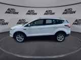 Ford Kuga bei Sportwagen.expert - Abbildung (2 / 15)